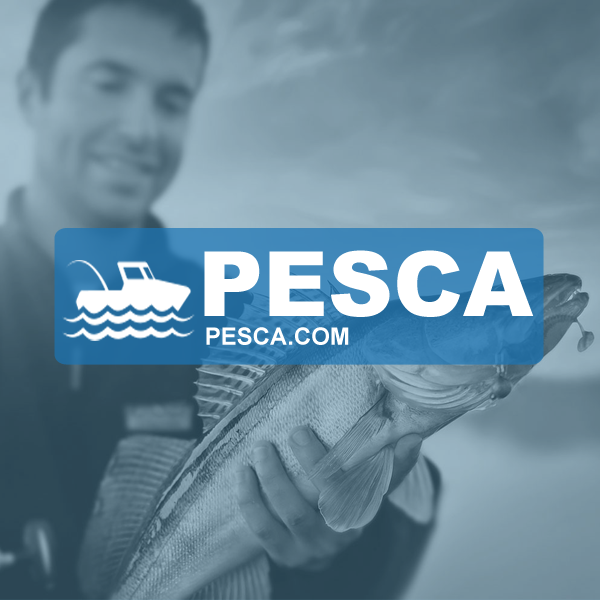 Pesca - Anuncios, Noticias - Barcos.Com